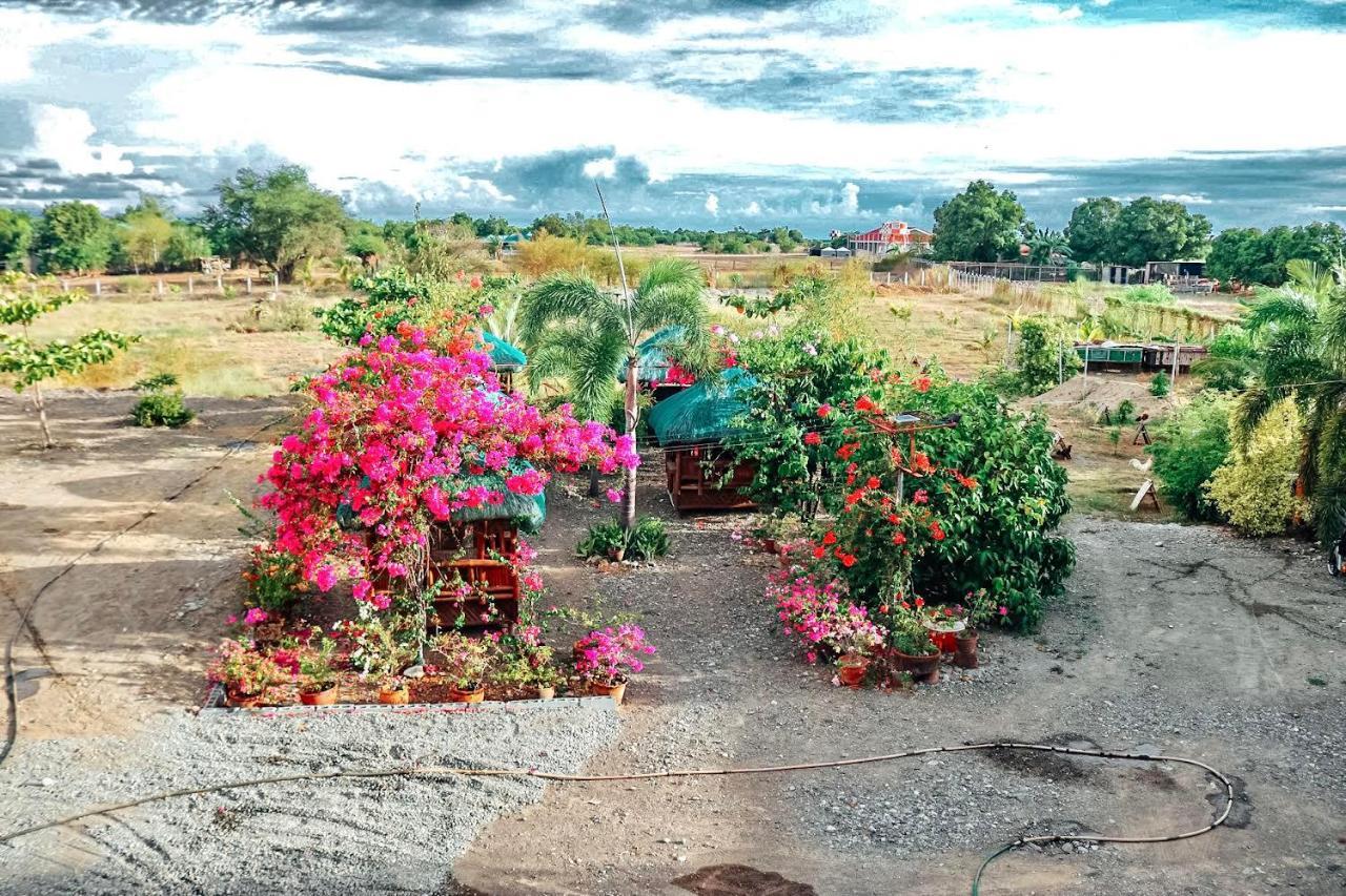 Airport View Hotel Vigan Buitenkant foto
