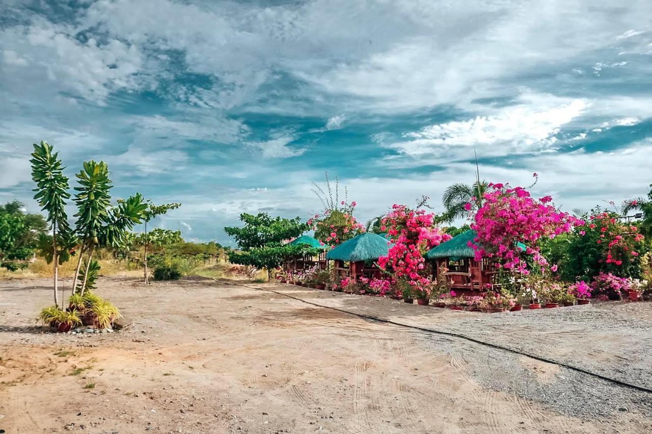 Airport View Hotel Vigan Buitenkant foto